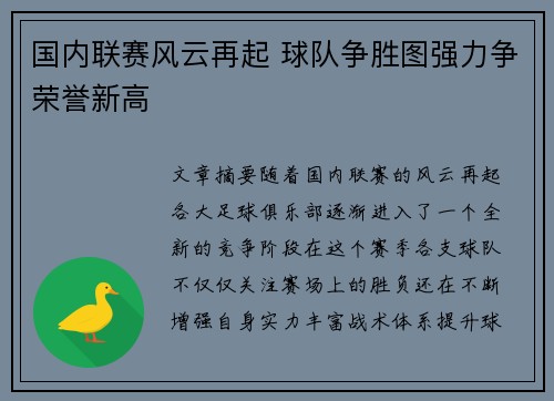 国内联赛风云再起 球队争胜图强力争荣誉新高