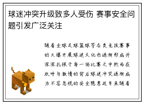 球迷冲突升级致多人受伤 赛事安全问题引发广泛关注