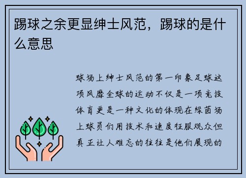 踢球之余更显绅士风范，踢球的是什么意思
